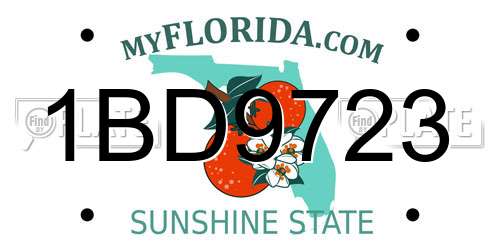 1BD9723 Florida License Plate