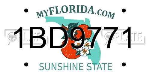 1BD9771 Florida License Plate