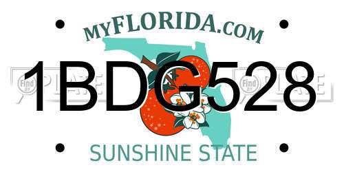 1BDG528 Florida License Plate