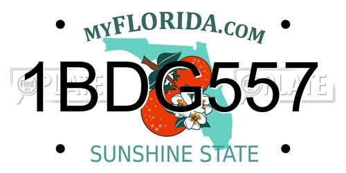 1BDG557 Florida License Plate