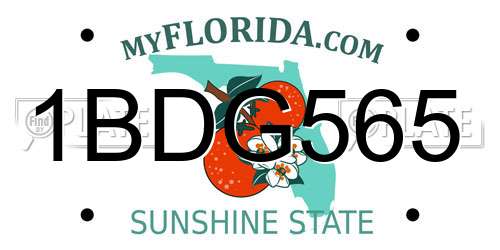 1BDG565 Florida License Plate