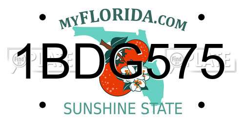 1BDG575 Florida License Plate