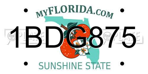 1BDG875 Florida License Plate