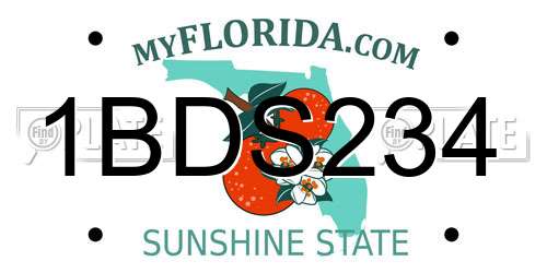 1BDS234 Florida License Plate