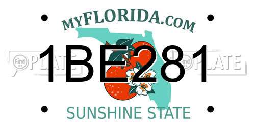 1BE281 Florida License Plate