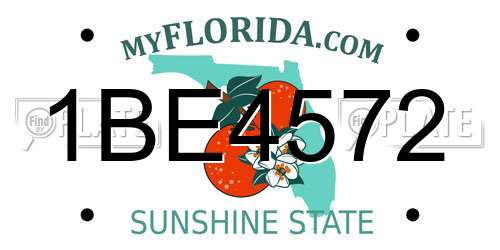 1BE4572 Florida License Plate