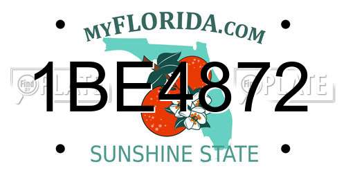 1BE4872 Florida License Plate
