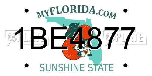 1BE4877 Florida License Plate