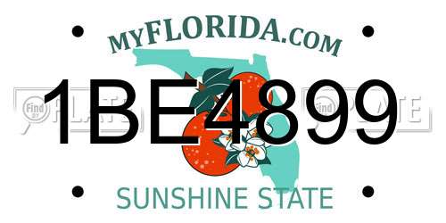 1BE4899 Florida License Plate