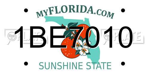 1BE7010 Florida License Plate