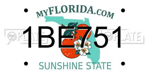 1BE751 Florida License Plate