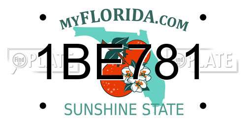 1BE781 Florida License Plate