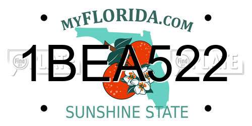 1BEA522 Florida License Plate