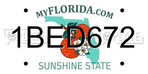 1BED672 Florida License Plate