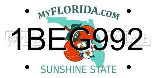 1BEG992 Florida License Plate