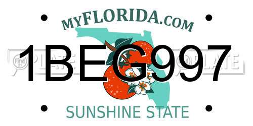 1BEG997 Florida License Plate
