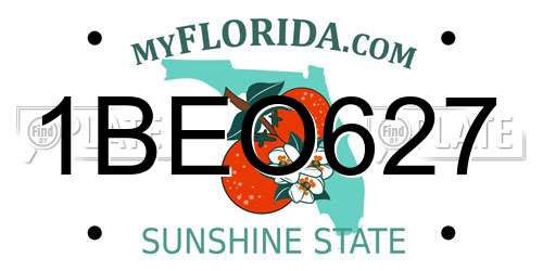 1BEO627 Florida License Plate