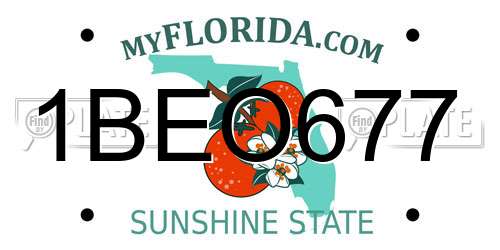 1BEO677 Florida License Plate