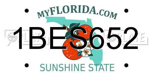 1BES652 Florida License Plate