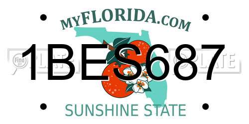 1BES687 Florida License Plate