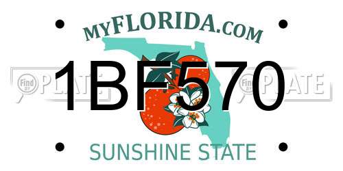 1BF570 Florida License Plate
