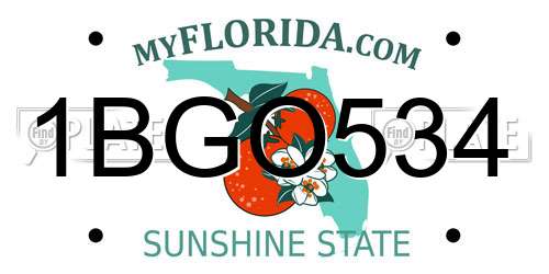 1BGO534 Florida License Plate