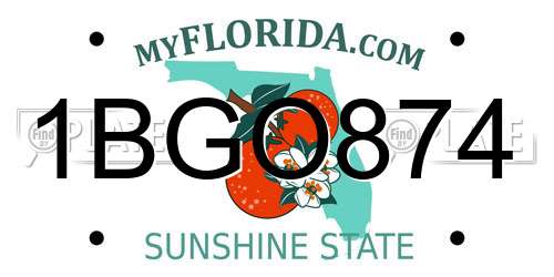 1BGO874 Florida License Plate