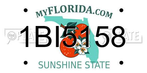 1BI5158 Florida License Plate