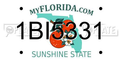 1BI5331 Florida License Plate