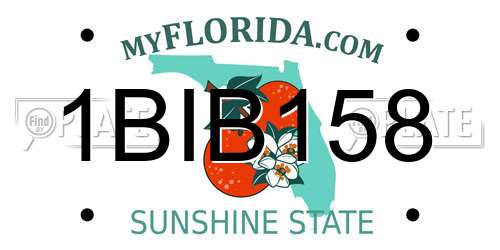 1BIB158 Florida License Plate