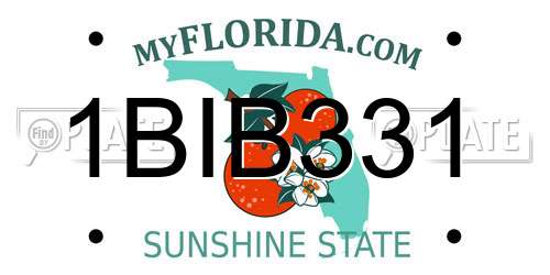 1BIB331 Florida License Plate