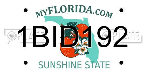 1BID192 Florida License Plate