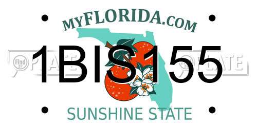 1BIS155 Florida License Plate