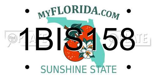 1BIS158 Florida License Plate