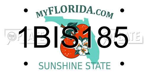 1BIS185 Florida License Plate