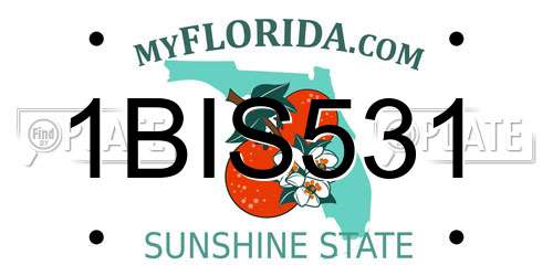 1BIS531 Florida License Plate