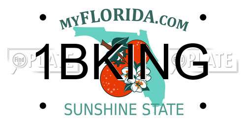 1BKING Florida License Plate