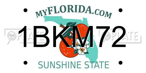 1BKM72 Florida License Plate