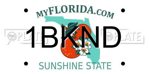 1BKND Florida License Plate