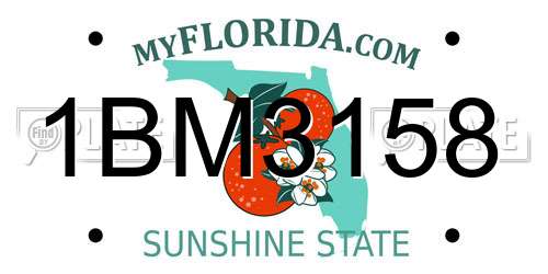 1BM3158 Florida License Plate