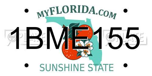 1BME155 Florida License Plate