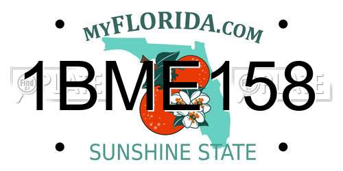 1BME158 Florida License Plate