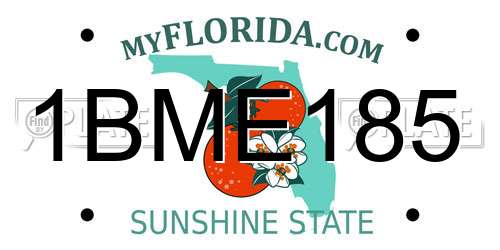 1BME185 Florida License Plate