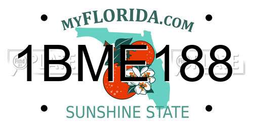 1BME188 Florida License Plate