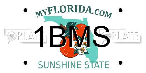 1BMS Florida License Plate