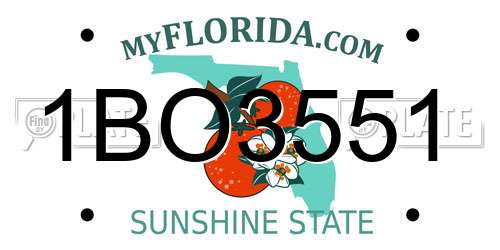 1BO3551 Florida License Plate