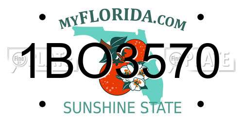 1BO3570 Florida License Plate