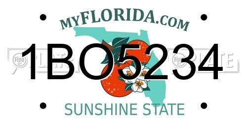 1BO5234 Florida License Plate