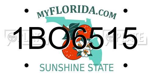 1BO6515 Florida License Plate