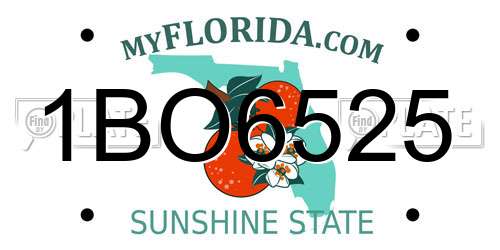 1BO6525 Florida License Plate